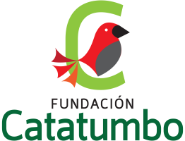 Fundaci&oacute;n Catacumbo